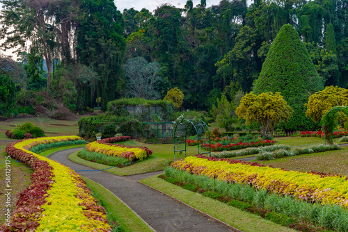 Royal botanical gardwen in Kandy, Sri Lanka