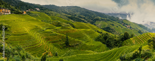 Terraced rice fields near Dazhai Village, Longji, China