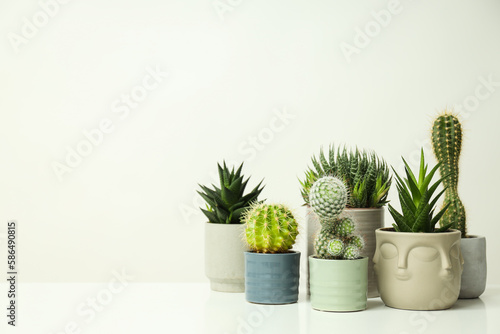 Cozy hobby growing house or indoor plants - cactus