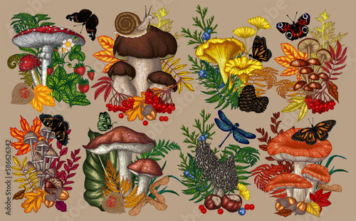 Vector set of 8 bushes with mushrooms, plants, insects, berries. Fly agaric, chanterelles, white mushroom, honey agaric, boletus, morel, russula, snail, strawberry, fern, butterflies, dragonfly