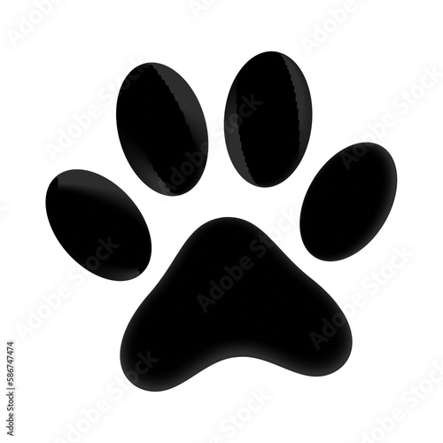 animal paw