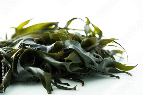 Seaweed Isolated on White Background Laminaria (Kelp). Generative AI