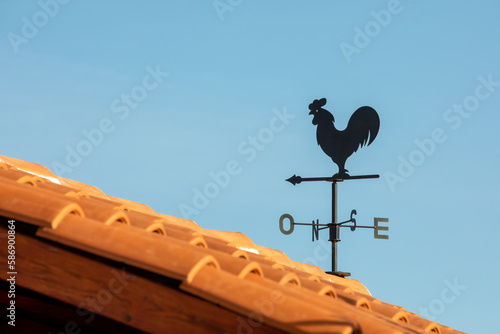 Weathercock - Rooftop Weather Vane for Outdoor Decoration and Weather Tracking