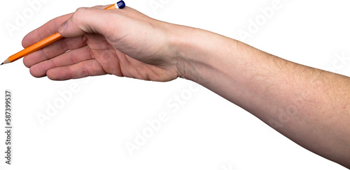 Cropped hand holding pencil