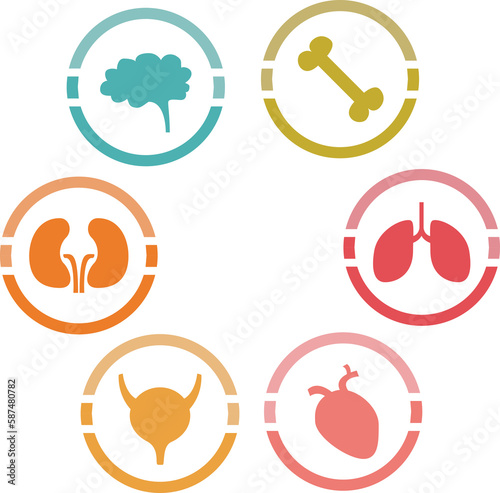 Icons of various human organs