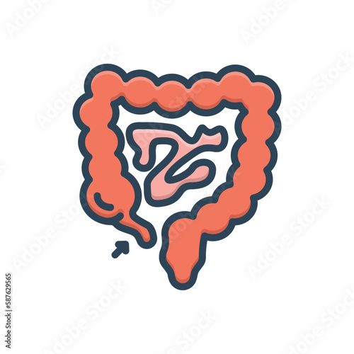 Color illustration icon for appendix 