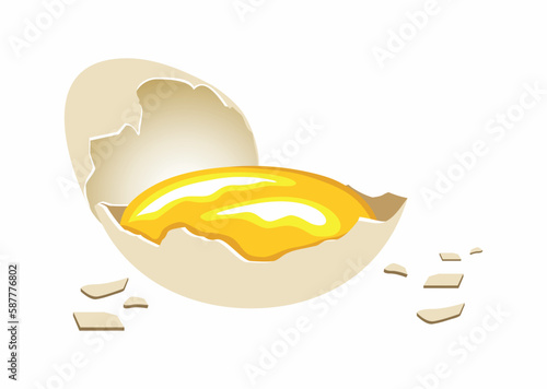 Surowe rozbite jajko, żółtko w skorupce. Kolorowy rysunek wektorowy, ilustracja jajka. Potłuczone kurze jajo, kawałki skorupy. Zdrowe i pyszne jajko