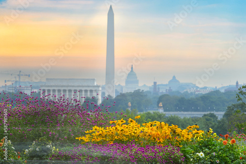 Washington D.C. skyline at sunrise with major monuments and spring flowers in view - Washington D.C. United States of America 