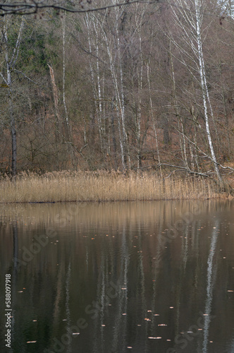 Forest lake with trees and reflections in the water in the autumn season
