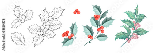 Set of different branches of mistletoe flowers isolated. Watercolor, line art, outline illustration. 
