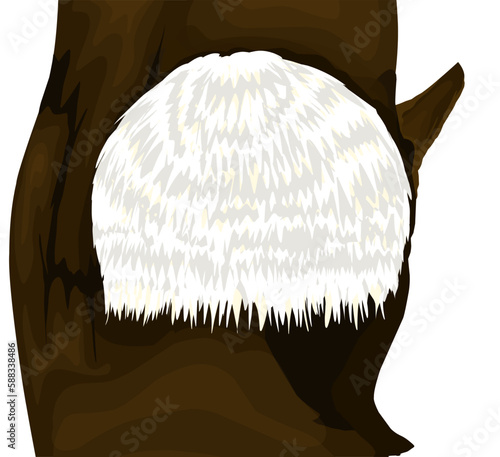 vector illustration of Lion's mane mushroom (Hericium erinaceus), an edible and medicinal plant.