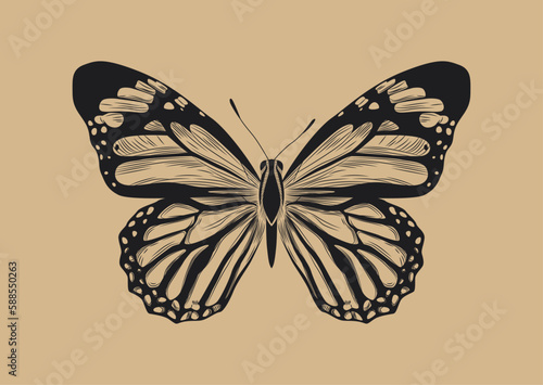 Line butterfly concept. Delias hypomelas rubrostriata, insect with wings. Engraving and retro element for scrapbook. Poster or banner for website. Cartoon flat vector illustration