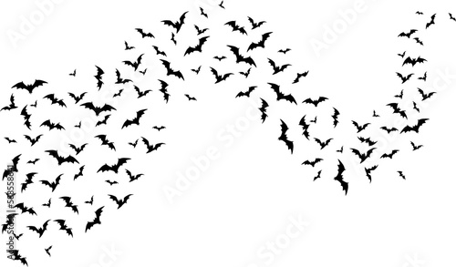Flying halloween bats, wave on white background