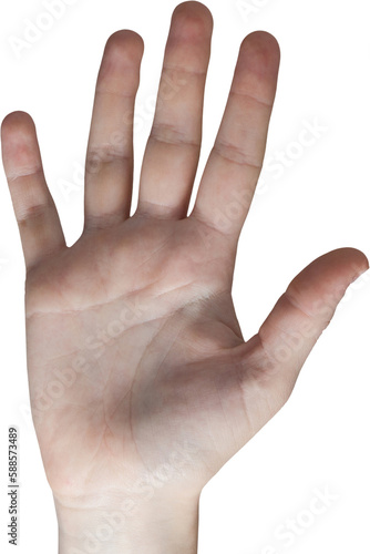 Cropped image of woman hand