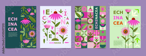 Set poster, brochure with Echinacea drawing. Isolated flower and leaves. Cards geometry for print design vector banner