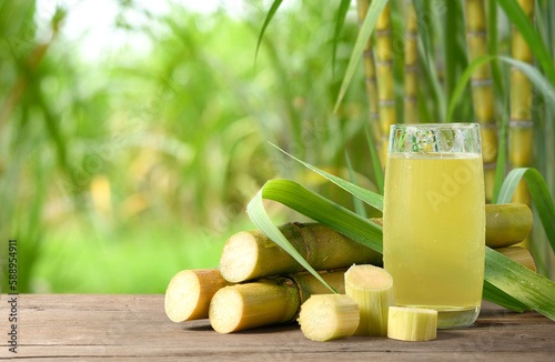 Fresh squeezed sugar cane juice with sugar cane plantation farming background.