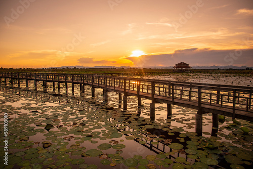 THAILAND PRACHUAP SAM ROI YOT LOTUS LAKE