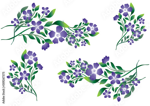 Branches de fleurs de pervenche bleu avec feuillage vert sur fond transparent