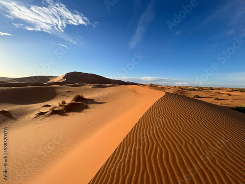 Merzouga, Morocco, Africa, panoramic view of the dunes in the Sahara desert, grains of sand forming small waves on the beautiful dunes at sunset 