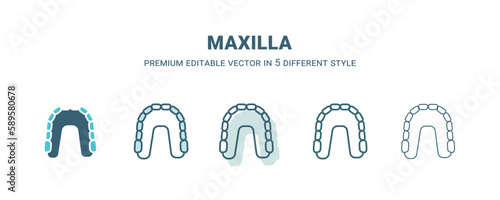 maxilla icon in 5 different style. Outline, filled, two color, thin maxilla icon. Editable vector can be used web and mobile