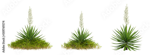 Green plants isolated on transparent background, landscaping design, nature garden, 3d render illustration.