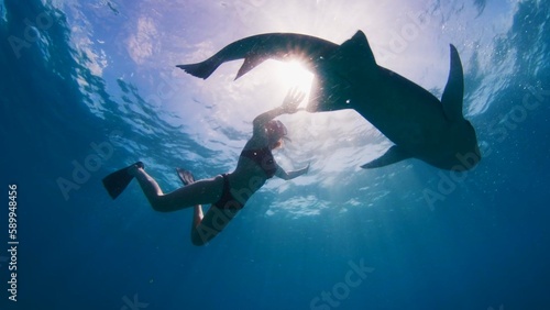 Woman free diving and snorkelling with the nurse shark, Ginglymostoma cirratum, in a tropical sea in the Maldives