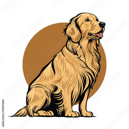 golden retriever dog vector