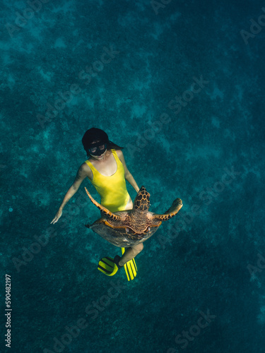 snorkeling Freediver woman and turtle in natural habitat. underwater contact of Beautiful girl swim next to wild animals on surface of clear blue sea or ocean. Unique sea voyage, trip, travel.