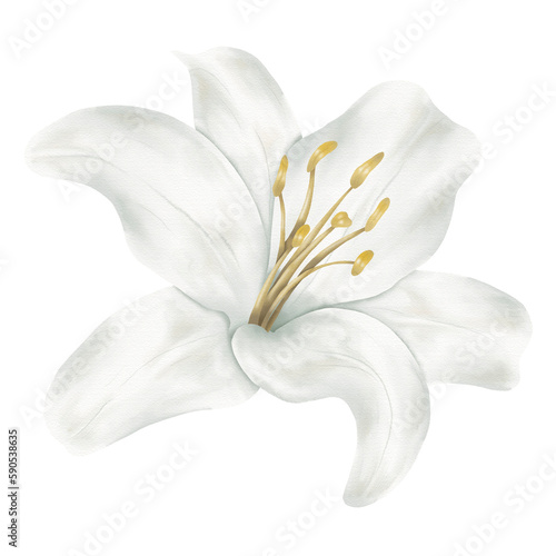 white lily watercolor decoration