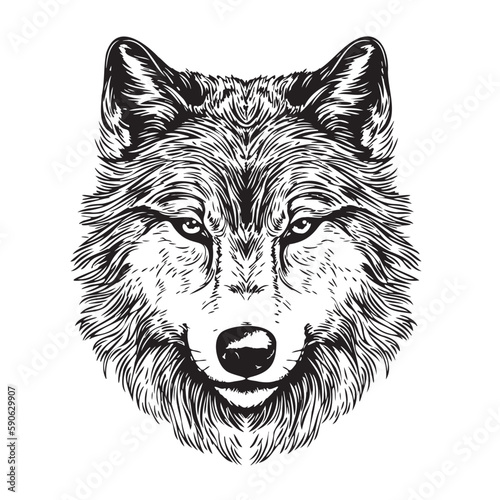 Wolf head sketch hand drawn in doodle style illustration