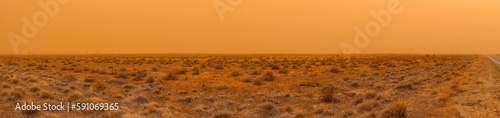 Beautiful panoramic view of a desert with dry grass during sunrise