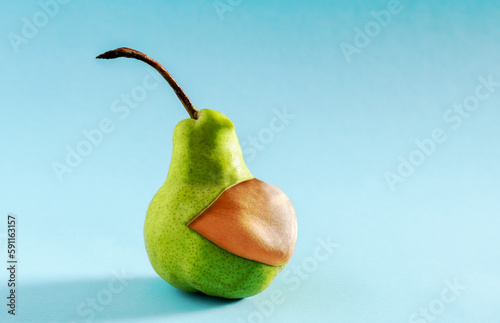 A pear with a beer belly falling out. The concept of malnutrition and obesity. Blue background. Copy space.