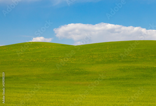 prato verde in toscana