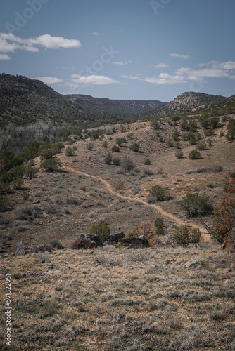 Far view of dirt trail cutting across green grassy desert mesas covered in pine bushes and sage brush in spring in western Colorado near town of Montrose