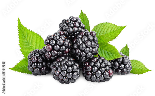 heap of blackberry and leaves on a white isolated background