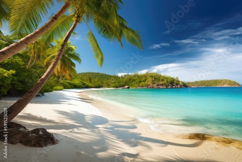beach with swaying palm trees and crystal-clear blue waters