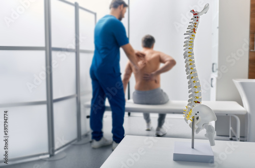 Anatomical model of spine on table in manual therapist's office. Adult man patient during spinal exam by physiotherapist on background, soft focus