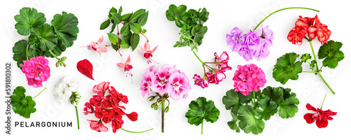 Geranium flowers collection isolated on white background.
