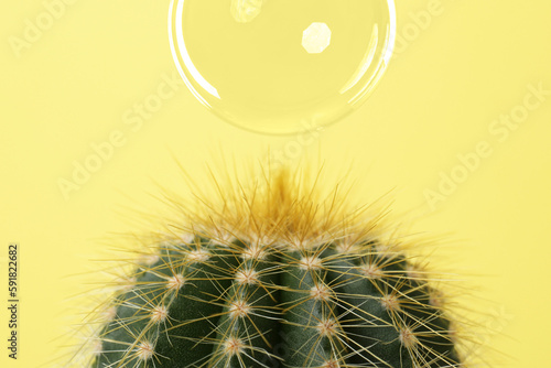 Soap bubble over cacti on yellow background
