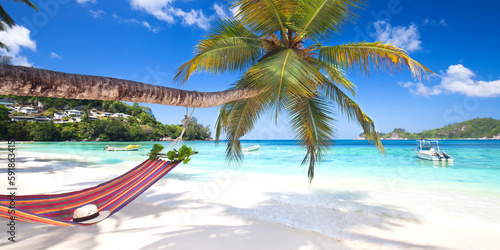 tropischer Strand mit Palmen und Hängematte