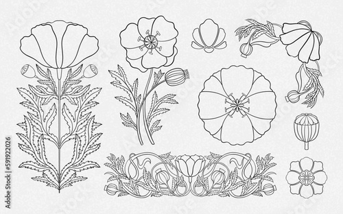 Floral poppy plant in art nouveau 1920-1930. Hand drawn in a linear style with weaves of lines, leaves and flowers.