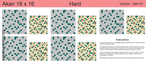 5 Hard Akari 16 x 16 Puzzles. A set of scalable puzzles for kids and adults, which are ready for web use or to be compiled into a standard or large print activity book.