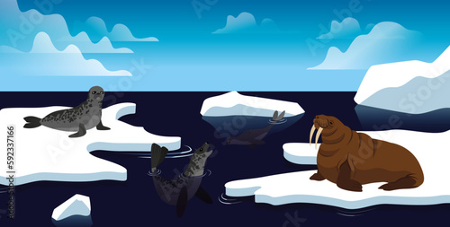 Vector Illustrations of Artic animals, north and south pole. Marine and land mammals, seals and walrus.