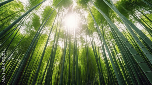 Bamboo forest, Generative AI