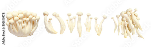 Set of White Shimeji Mushrooms or beech mushroom isolated on white background.