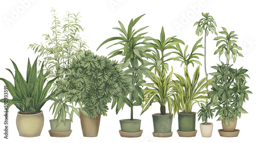 イラスト調の観葉植物(切り抜き) No.016 | Illustrative houseplants cut-out (picture, coloured paper, etc.) Generative AI