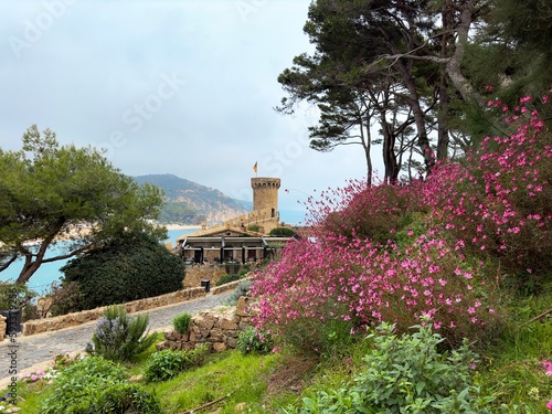 pink flowers in the foreground and the Muralles de Tossa de Mar, the mediterranean sea and the costa mountains, Tossa de Mar, Costa Brava, Girona, Spain