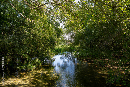 View of the river Bourne near Salisbury in Wiltshire on a summer afternoon, England