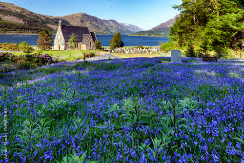 Amazing bluebells at St john's church in Ballachulish, a village by the shore of Loch Leven in Scotland.