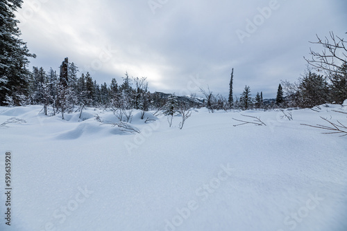 Winter time views in the Boreal Forest of Yukon Territory, Canada. Snow capped mountains in background of landscape view. 